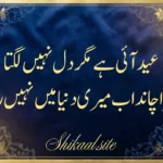 Best 2 Lines Eid Sad Poetry in Urdu | Urdu Shayari 2026