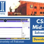 cs504 midterm solved papers