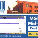 mgt501 mid term past papers