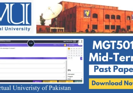mgt501 mid term past papers